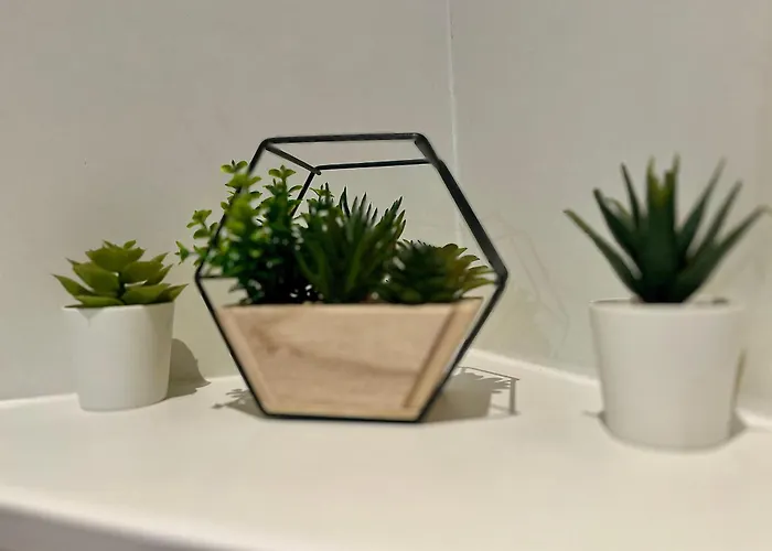 A Pied ! Gare & Vieux - 367 *